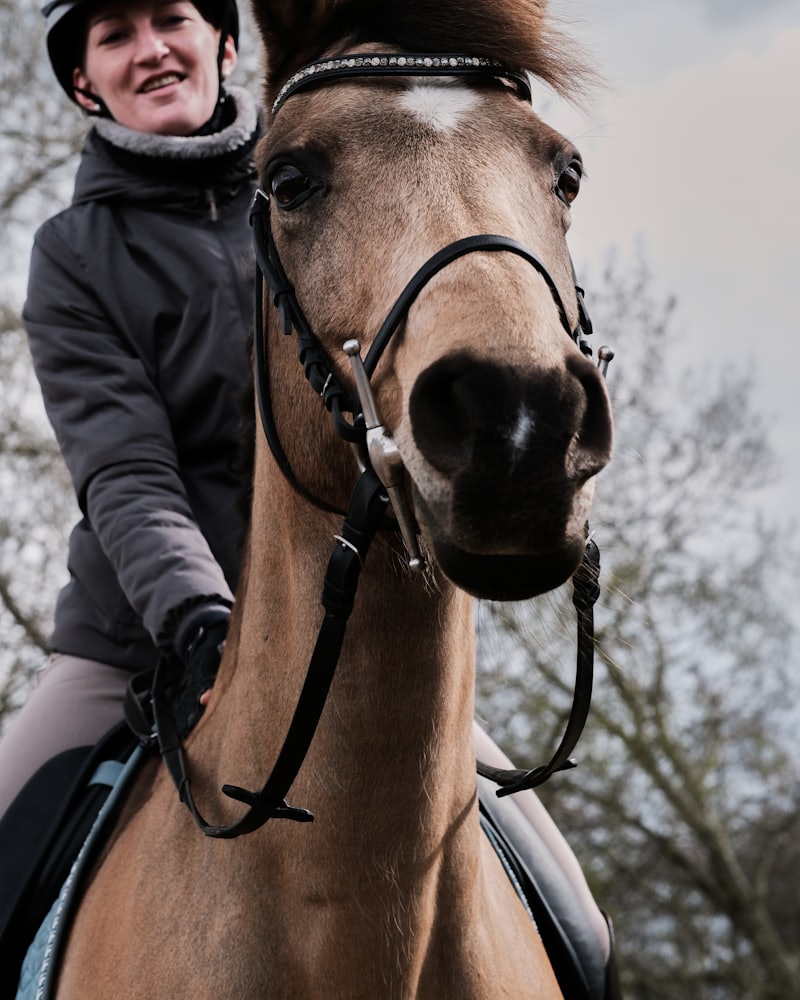 Capacete Dom Cavalo Sport